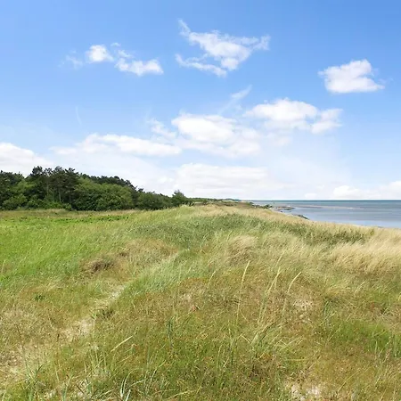 Amdi - 100m From The Sea By Interhome Hadsund